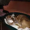 Wayne Gebhard - @waynegebhard469 - TikTok
