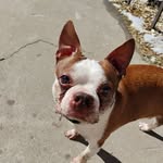 Wayne Geist - @wayne.geist.58 - Instagram