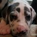 Wayne Geiser - Facebook