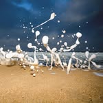 Wynell Geisler - @coreylappe853 - Instagram