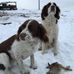 Wayne Geist - Facebook