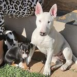 Wayne Gerber - @gerberwayne233 - Instagram