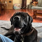 Wayne Gerber - @gerby44 - Instagram