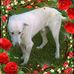 Wayne Getz - Facebook