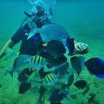 Wayne Getz - @c175rgr - Instagram