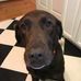 Wayne Gholson - Facebook