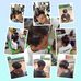 Jacqueline Yowano - Facebook