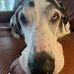 Wayne Gierke - Facebook