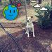 Steven W Gilland - Facebook