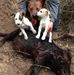 Wayne Gilliland - Facebook