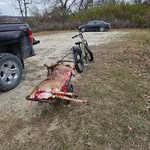 Wayne Gillman - @waynegillman - Instagram