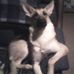 Wayne Gilson - Facebook