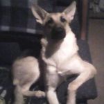 Wayne Gilson - @ooohellnooo_ - Instagram