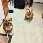 Wayne Godsey - @michael.godsey.10 - Instagram