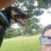 Wayne Goforth - Facebook