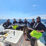 Wayne Goforth - @wagvstrom - Instagram