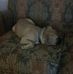 Kenney Wayne Goins Jr - Facebook