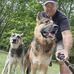 Wayne Goldberg - Facebook
