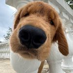 Bruce Wayne - @bruce.wayne_golden - Instagram
