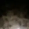 wayne2golden - @wayne2golden10 - TikTok