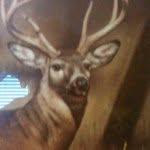 Gavin Wayne Gonder - @gavingonder - Instagram