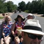 Wayne Gonder - @wayne.gonder - Instagram