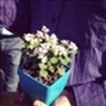 Wayne Gong - @wayne7qong - Instagram