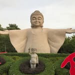 Wayne Gong - @waynegong55 - Instagram