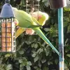Wayne Good - @wayne.good6 - TikTok