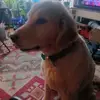 mwaynegooden - @mwaynegooden - TikTok