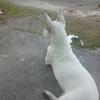 waynegooding - @waynegooding - TikTok