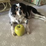 Wayne Goodman - @waynegoodman5952 - Instagram