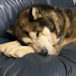 Wayne Goodman - @waynegoodies - Instagram