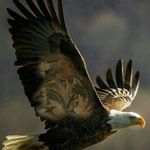 Wayne Goodrich - @wayneg0331 - Instagram