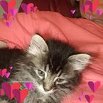 Wayne Goodsell - @waynegoodsell - Instagram