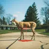 Wayne Graham - @wayne_graham - TikTok