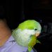 Wayne Gottschalk - Facebook