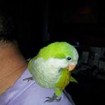Wayne Gottschalk - @ralph280855 - Instagram