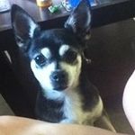 Wayne Goulet - @goobgoulet - Instagram