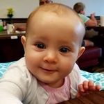 Wayne Gower - @bawlmerlandscaping - Instagram