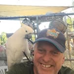 Wayne Grady - @waynegrady57 - Instagram
