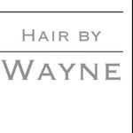 Wayne gray - @hair_by_wayne - Instagram