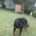 Wayne Greene - Facebook