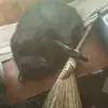 Wayne Griffith - @wayne.griffith55 - TikTok