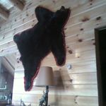 Wayne Grimaldi - @waynegrimaldi59 - Instagram
