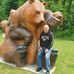 Wayne Groves - Facebook