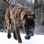 M - @wayne_grow - Instagram