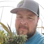 @waynegrow.cali - Instagram