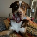 Arlo Wayne Guidry - @arlo_waynes_world - Instagram