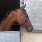 Wayne Guy - @big_g_1234567890 - Instagram